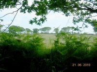 open farmland borders Hawthorne Wood