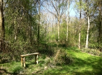 Hewell Wood - SOLD