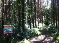 Holbury Wood - SOLD
