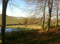 Iddens Wood - SOLD