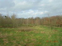 Lapwing Wood - SOLD photo 2
