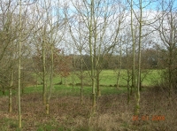 Lapwing Wood - SOLD photo 3