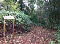 Leadon Wood - SOLD