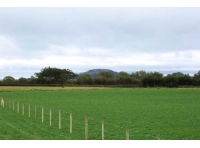 Lox Yeo Meadow Paddock - SOLD photo 3