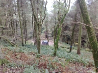 Parking space in a clearing