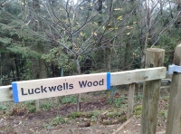 Luckwell Wood