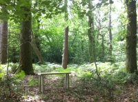Marske Wood - SOLD