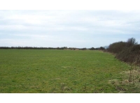 Osier Paddock - SOLD