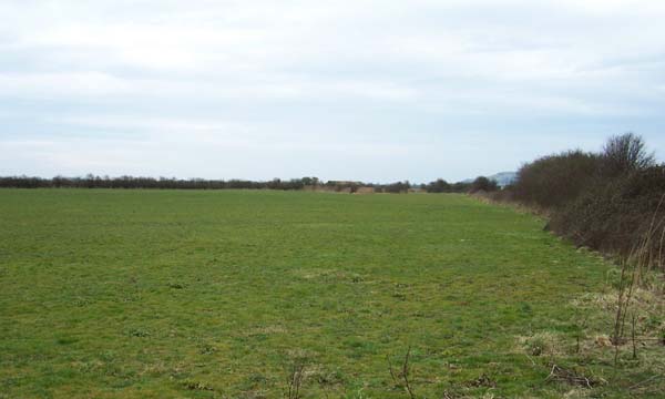 Osier Paddock - SOLD