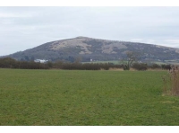 Osier Paddock