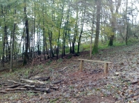 Quarry Wood