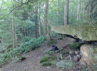 Silver Rock Wood - SOLD