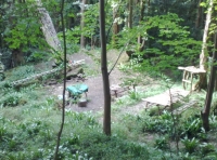 A woodland camp