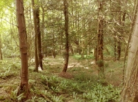 The sun dappled interior
