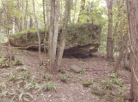 The silver rock