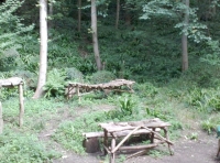 A woodland camp in a clearing
