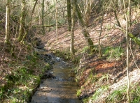 The tumbling brook at the boundary