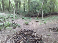 Logs ready for the camp fire.