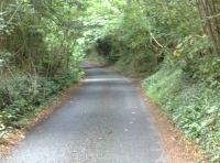 A quiet lane alongside Sulis Wood