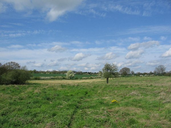 Tachbrook Meadow