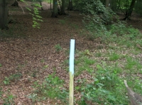 boundary marking post