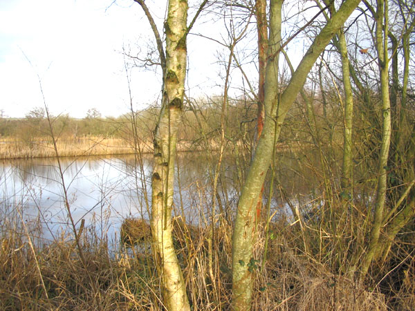 Turbary Lake - SOLD