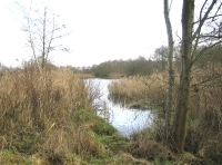 Turbary Lake photo 2