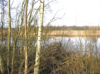Turbary Lake photo 3