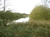 Turbary Lake photo 4