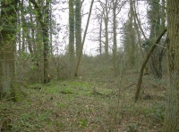 A view of the interior