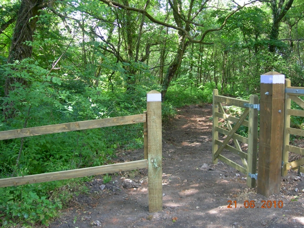 Wellington Wood