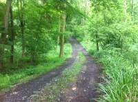 Windlass Wood