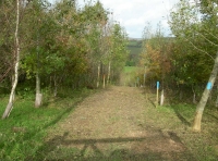The track leading to Winn Wood