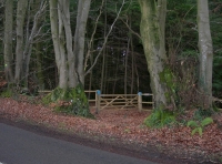 Welcome to Yeoman Wood