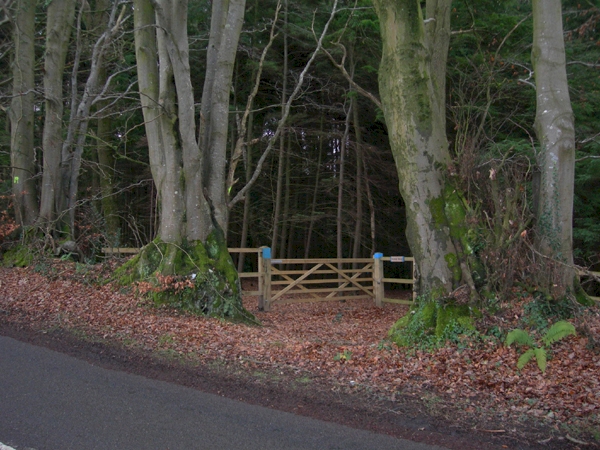 Yeoman Wood