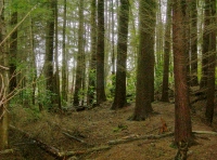 A campers haven