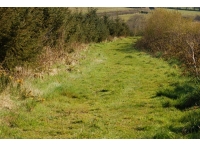 Abbery Wood photo 4