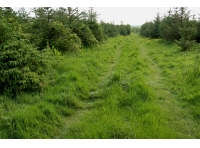 Aldercombe Wood - SOLD