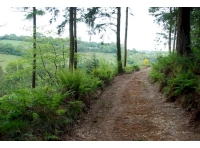 View east along the top track