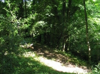 Bradley Pit Wood - SOLD photo 2