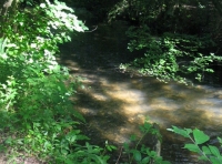 Bradley Pit Wood - SOLD photo 4