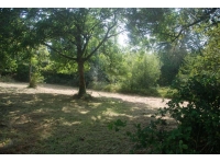 Burdon Wood - SOLD