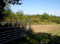 Butterbeare Wood - SOLD
