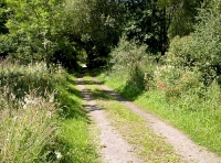 track along the southern boundary