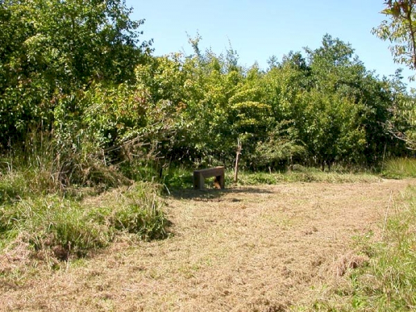 Butterbeare Wood - SOLD