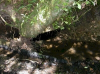 stone bed to the stream