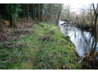 Dowr Wood - SOLD