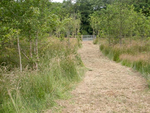 Fishleigh Wood - SOLD