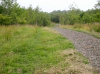 track leading to the parking area