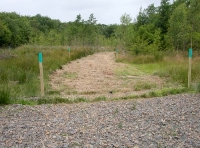 Short access track from parking area to woodland entrance